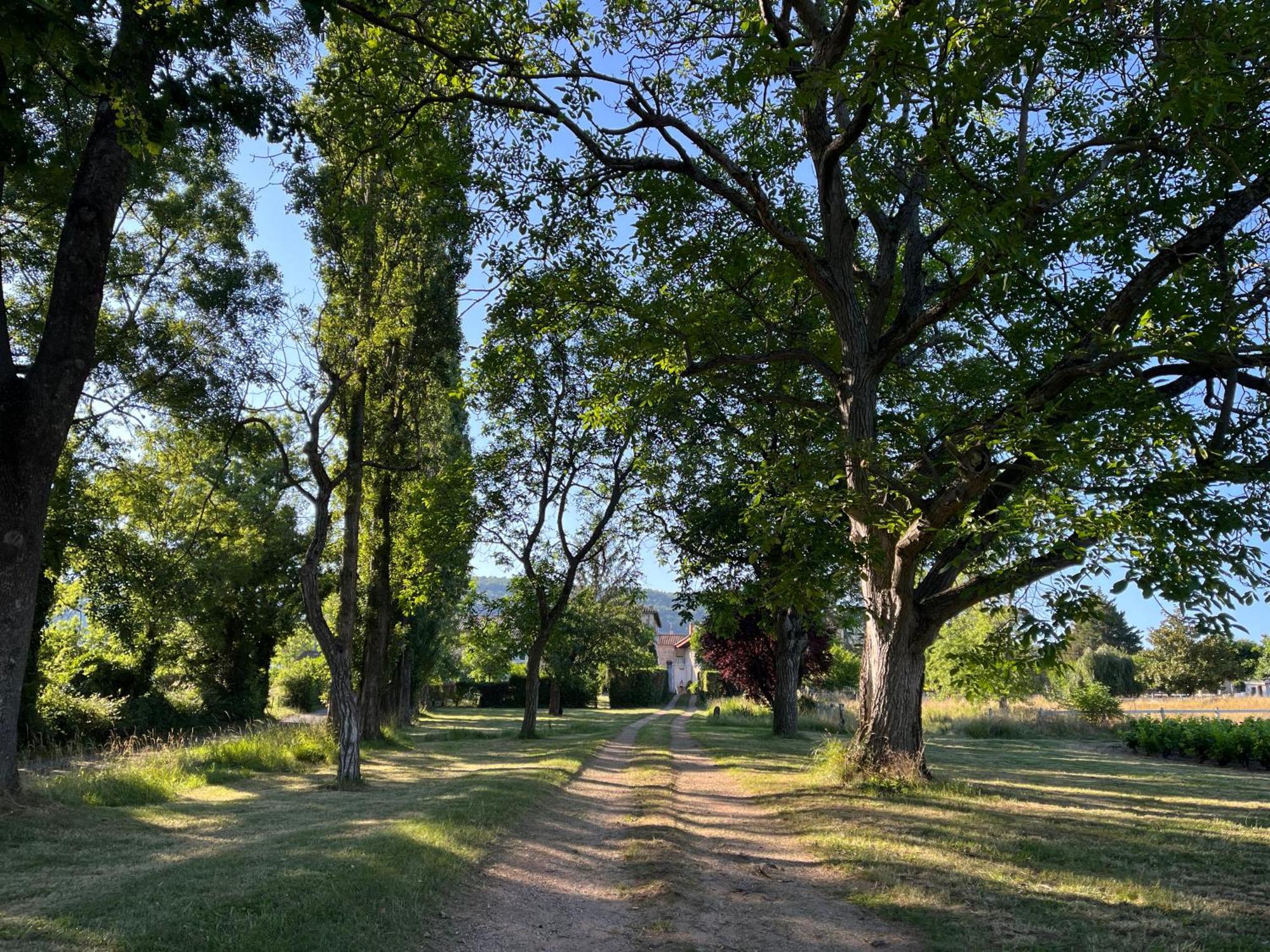 Domaine De La Baisse Saint-Etienne-la-Varenne Exterior foto